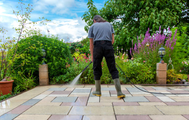 Best Driveway Cleaning and Restoration in Pine Crest, TN
